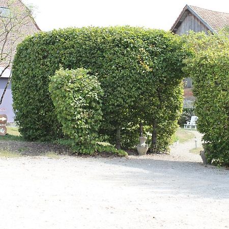 Chambres D'Hotes "Aux Portes De L'Alsace" Suarce エクステリア 写真